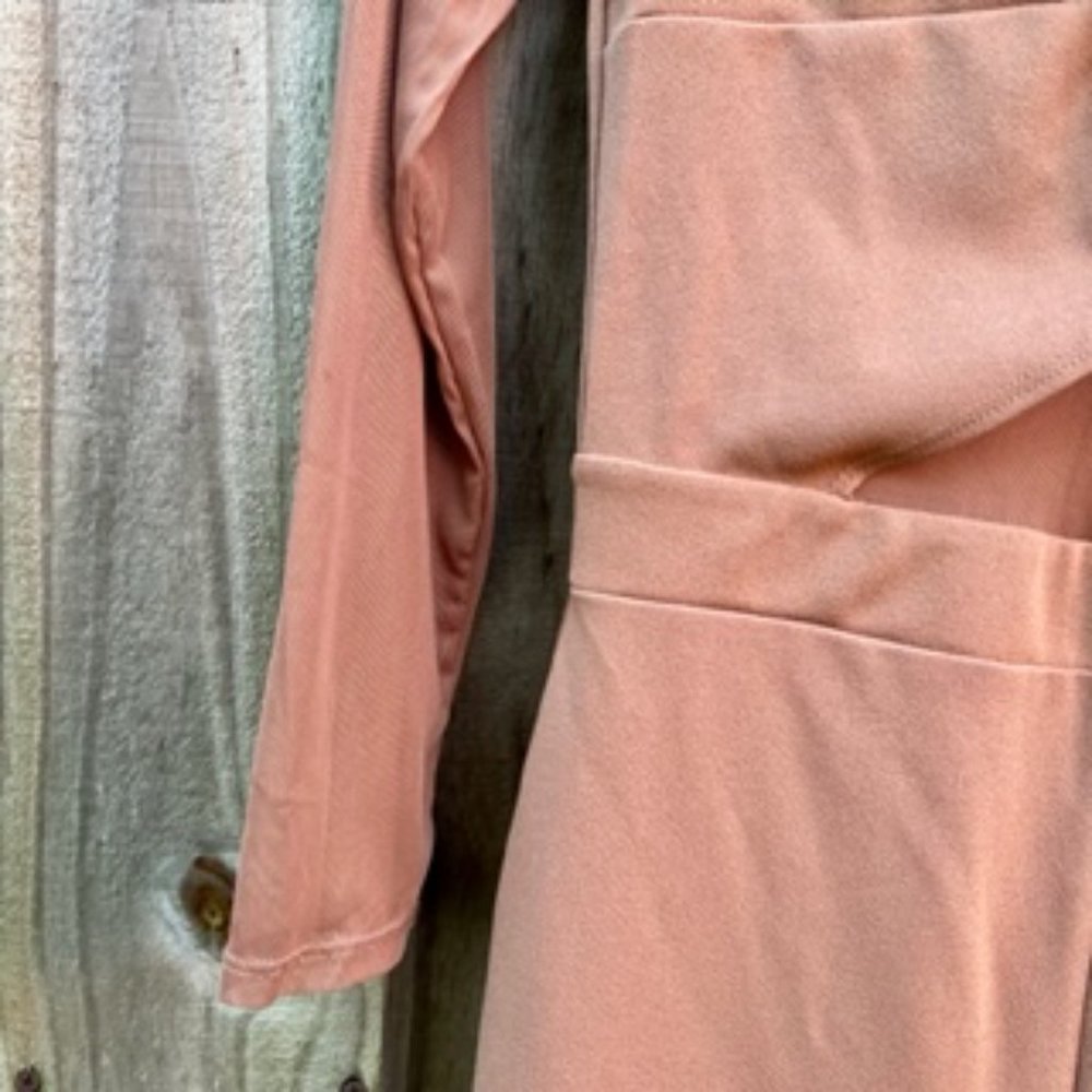 Blashe Mesh Long Sleeve Jumpsuit/Medium/Tan View 5